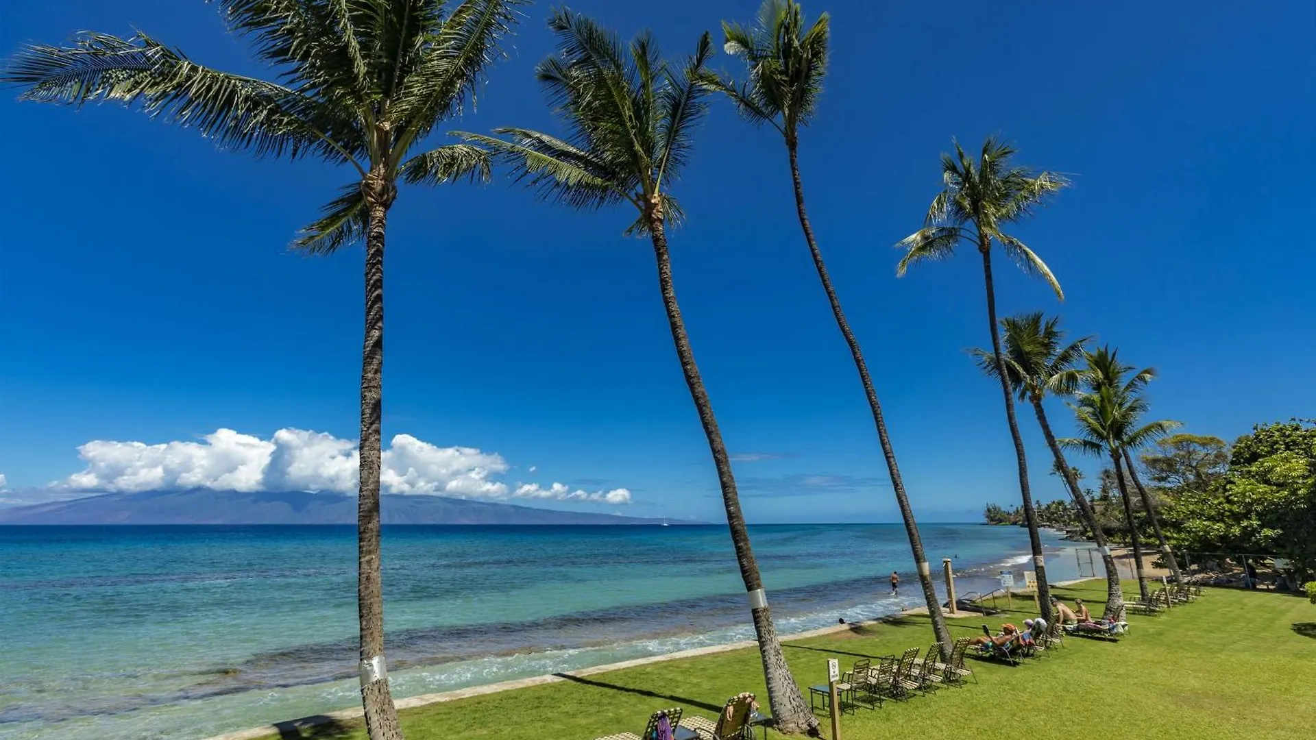 Paki Maui #109 *
