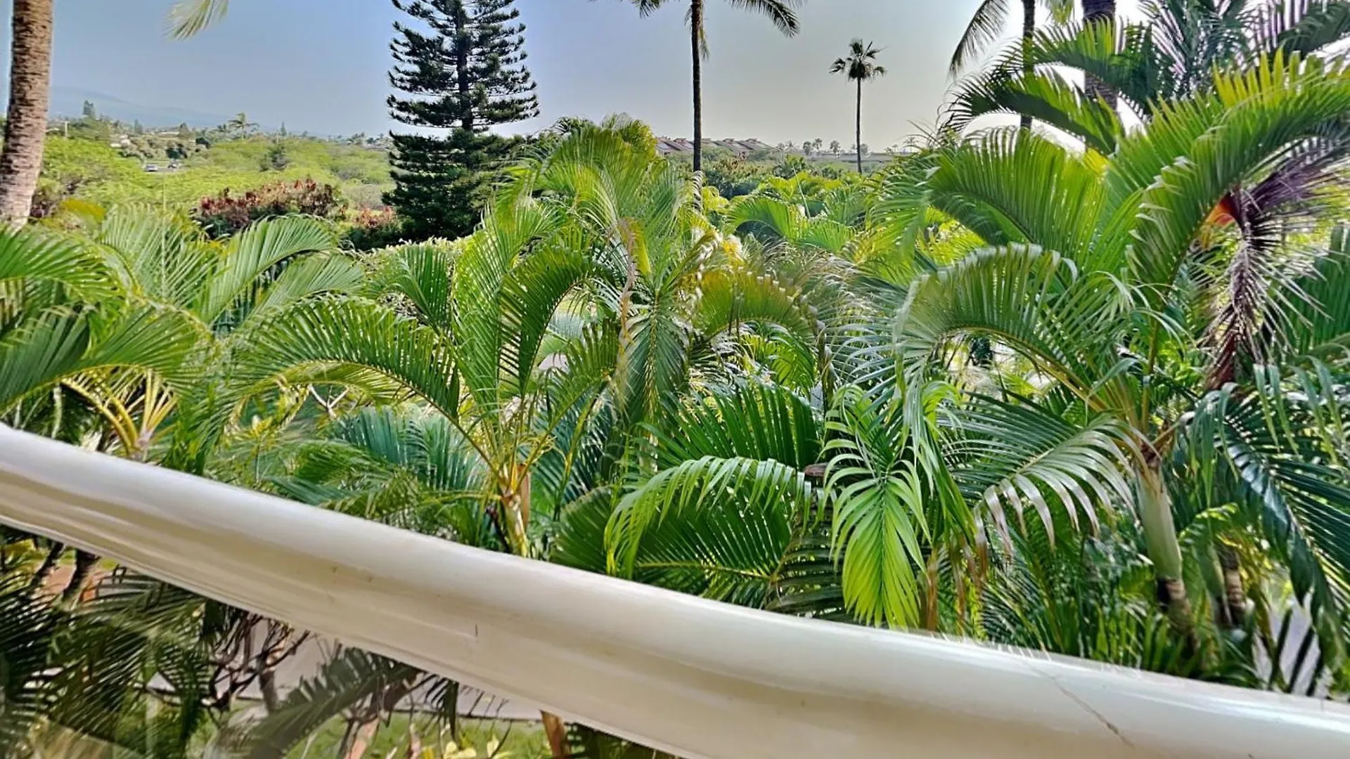 Maui Banyan T-305 Apartment