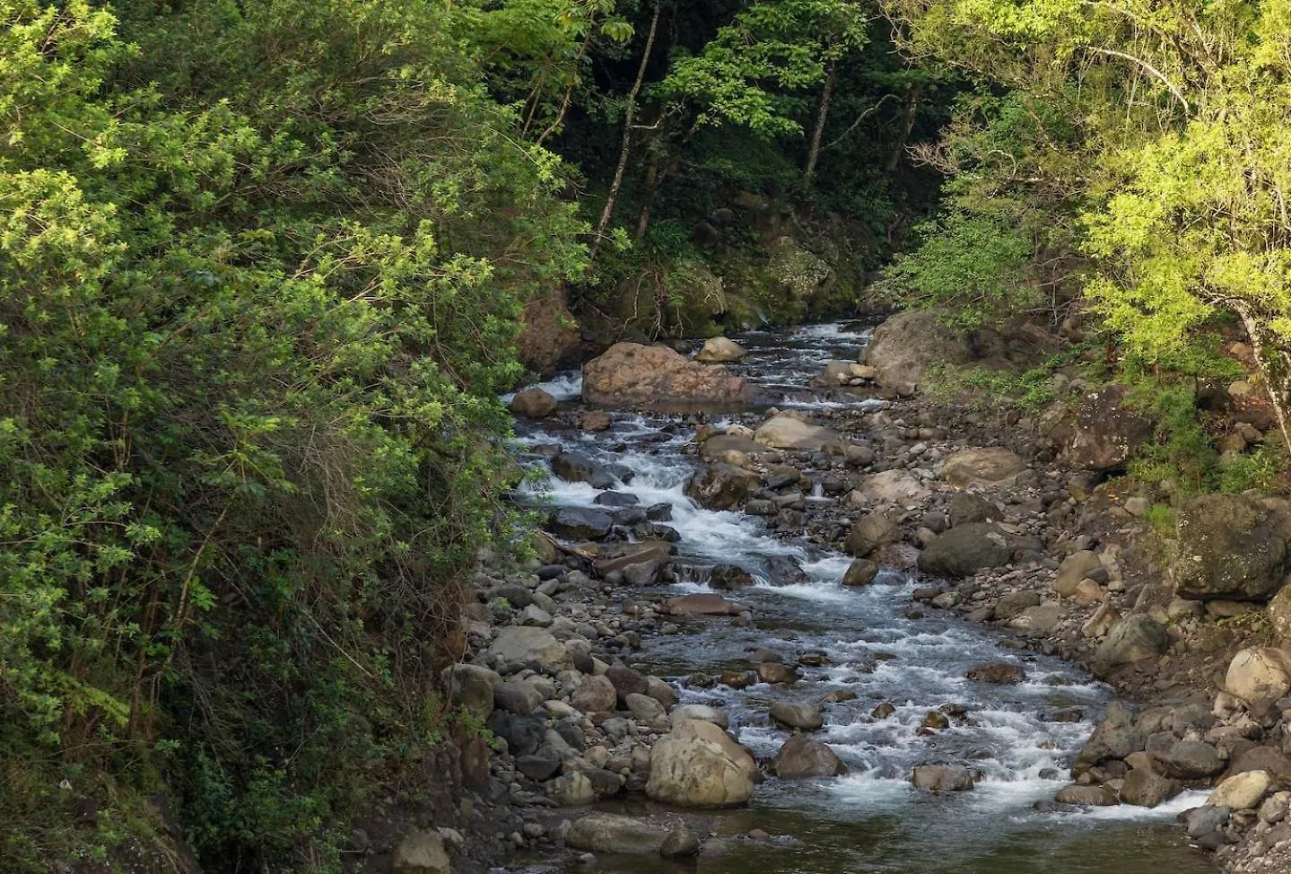 Yonegan Maui Getaways Wailuku