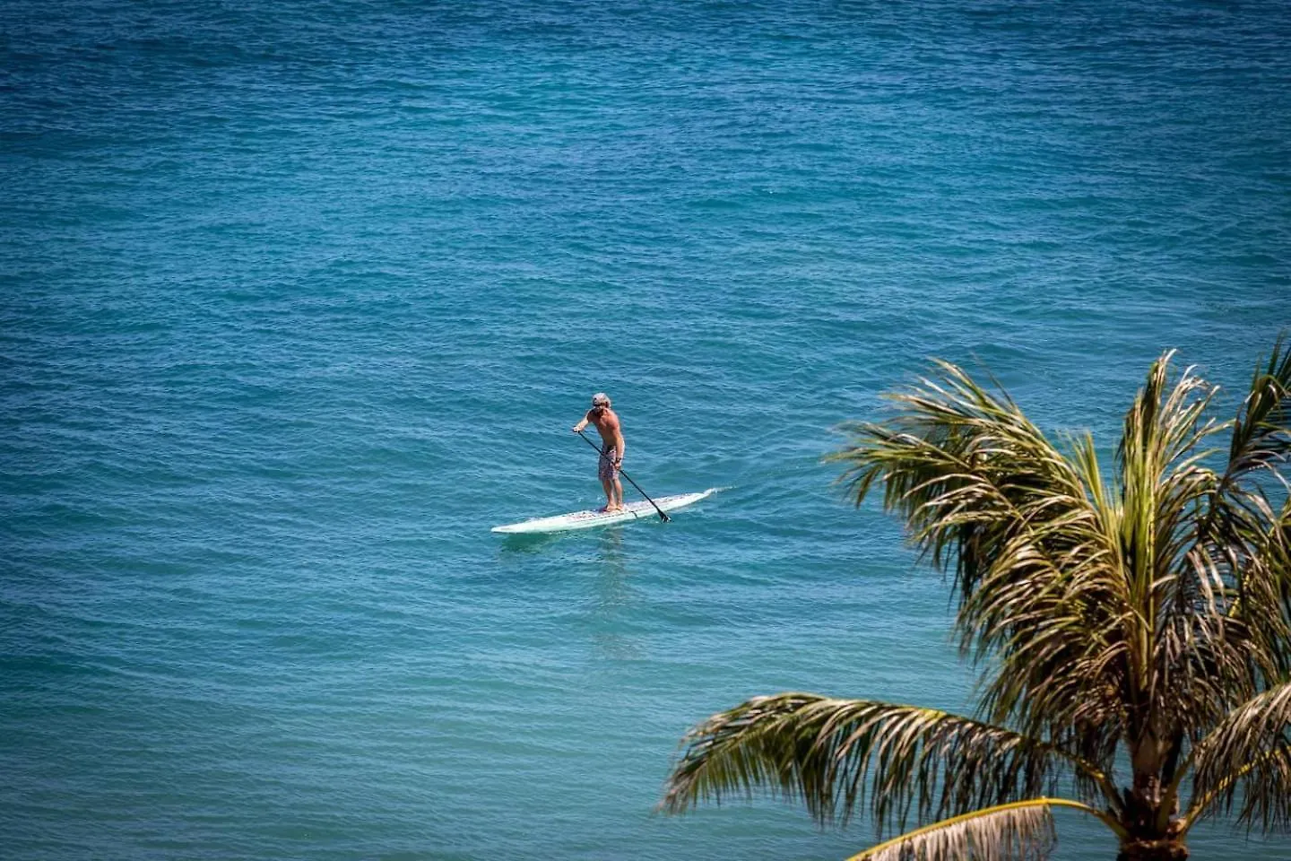 Apartmán Yonegan Maui Getaways *