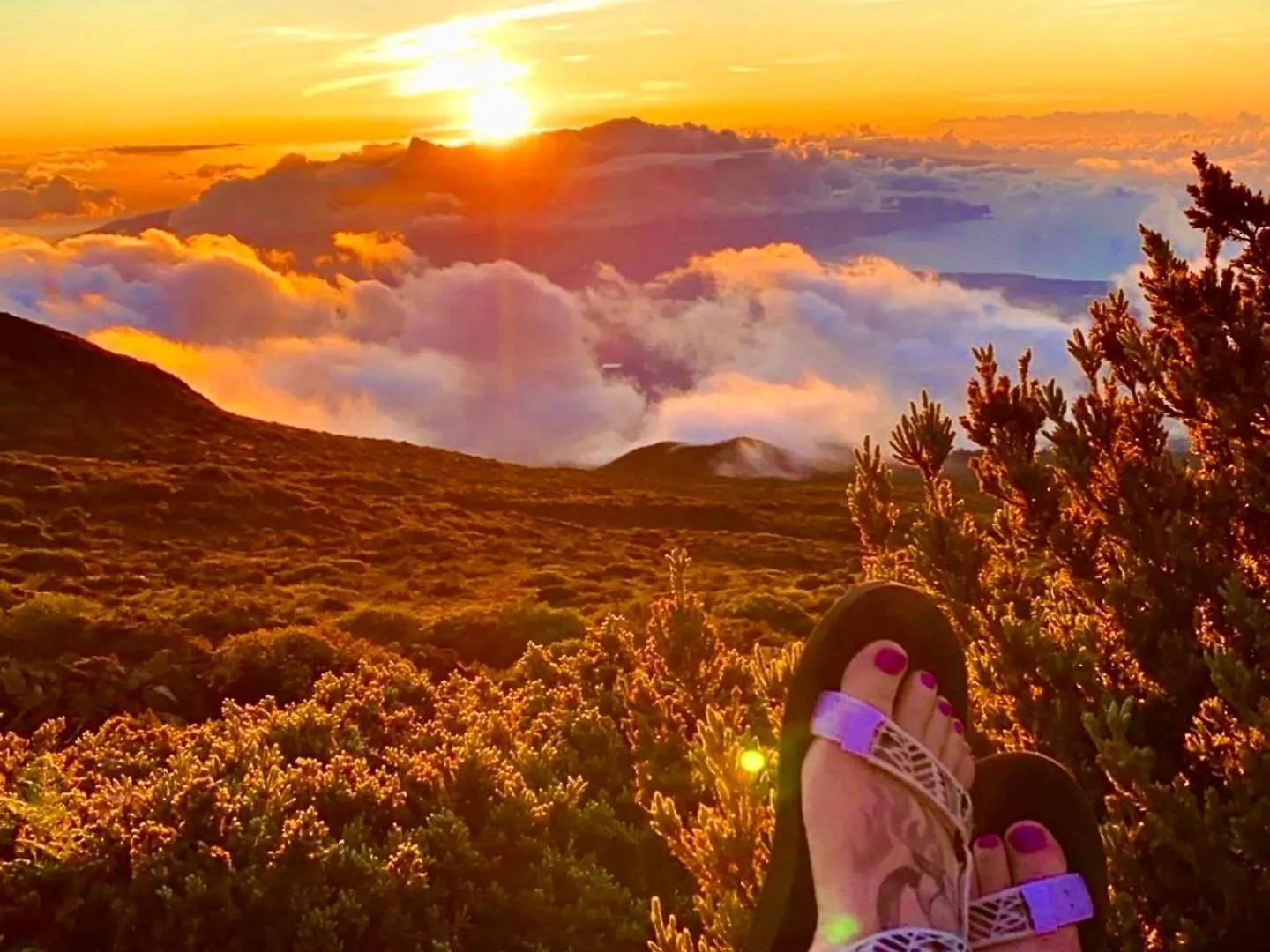 Campervan/maui Hosted By Go Camp Maui Apartment Kihei