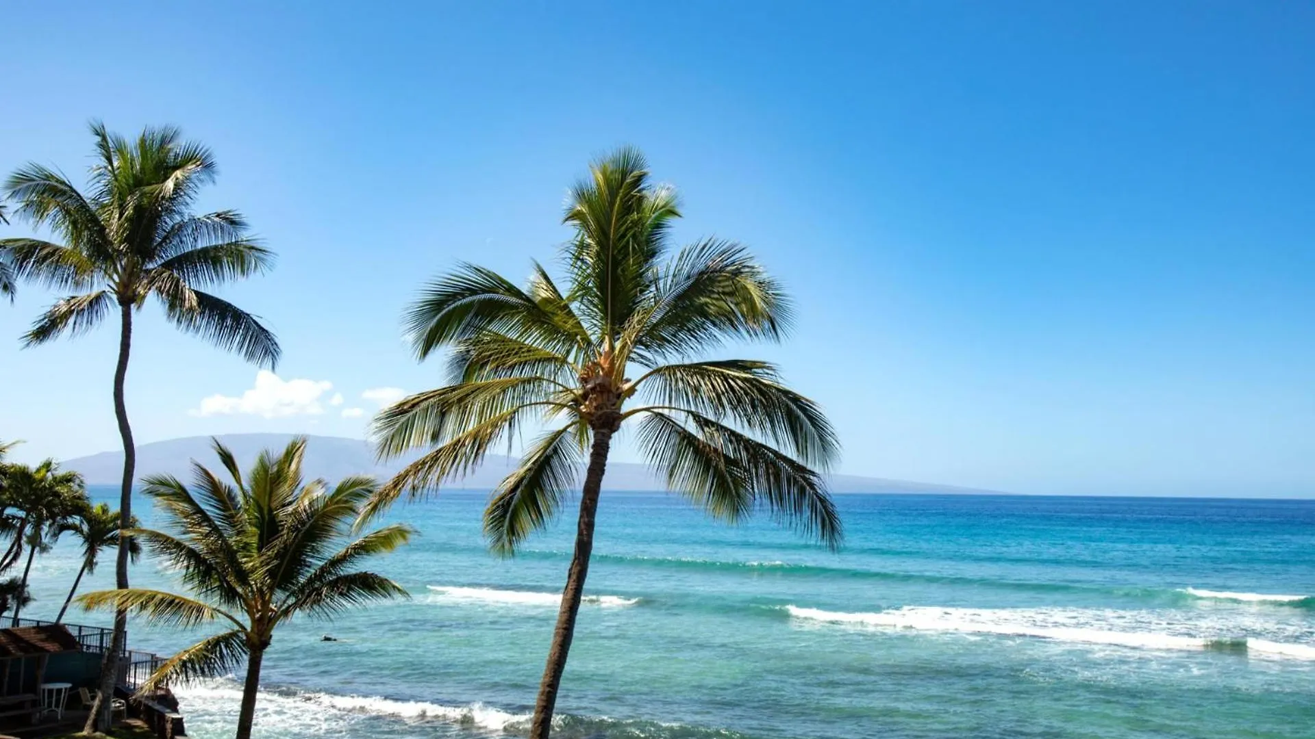 Kbm Free Car Lokelani Lok-b201 Ocean Front 2 Bedrooms Recently Remodeled Apartment Napili-Honokowai