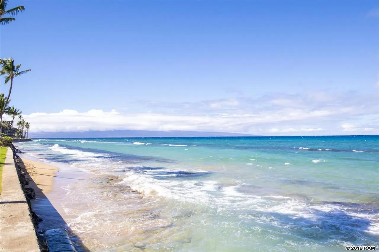 Awesome Paki Maui In * Lahaina