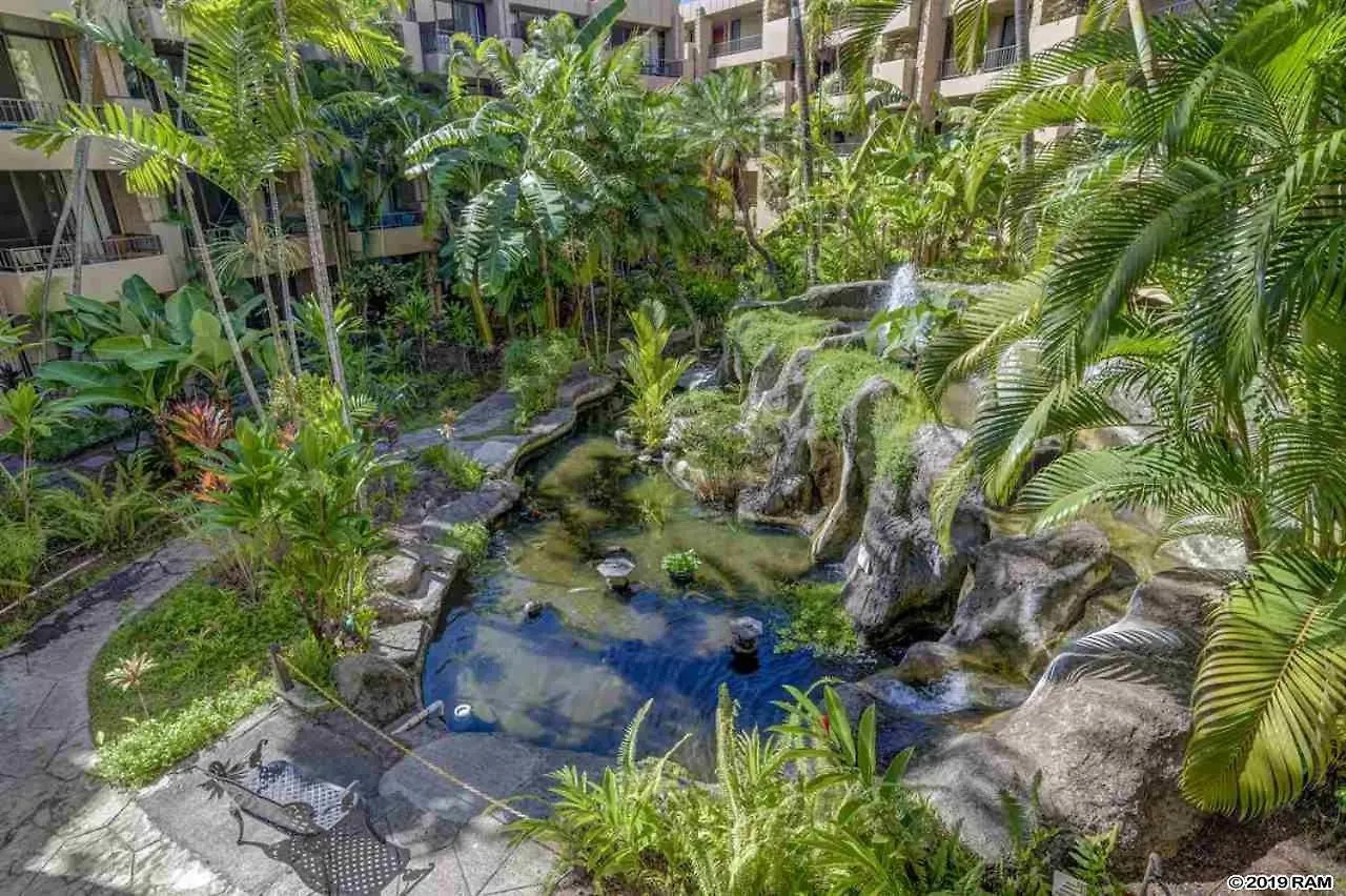 Awesome Paki Maui In Aparthotel *