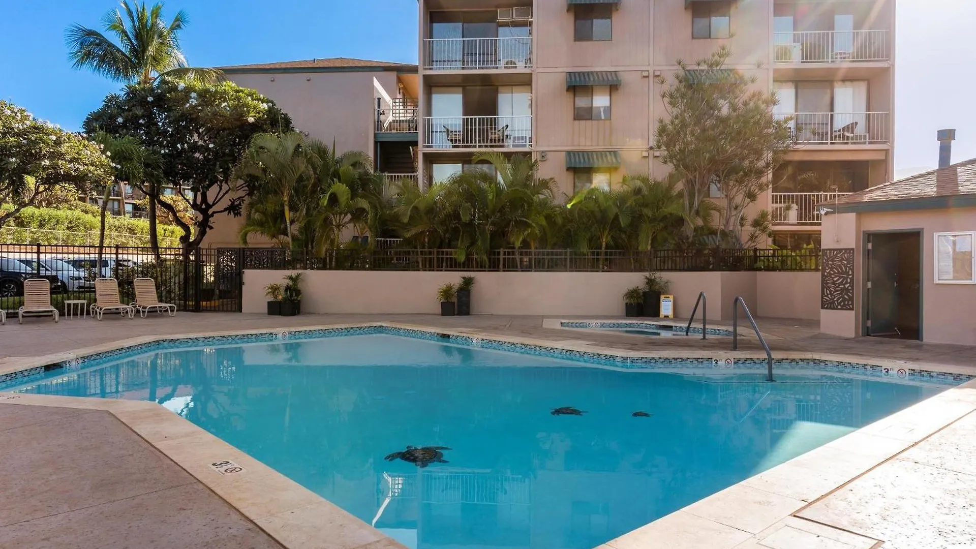 Apartment Pacific Shores A302 Kihei
