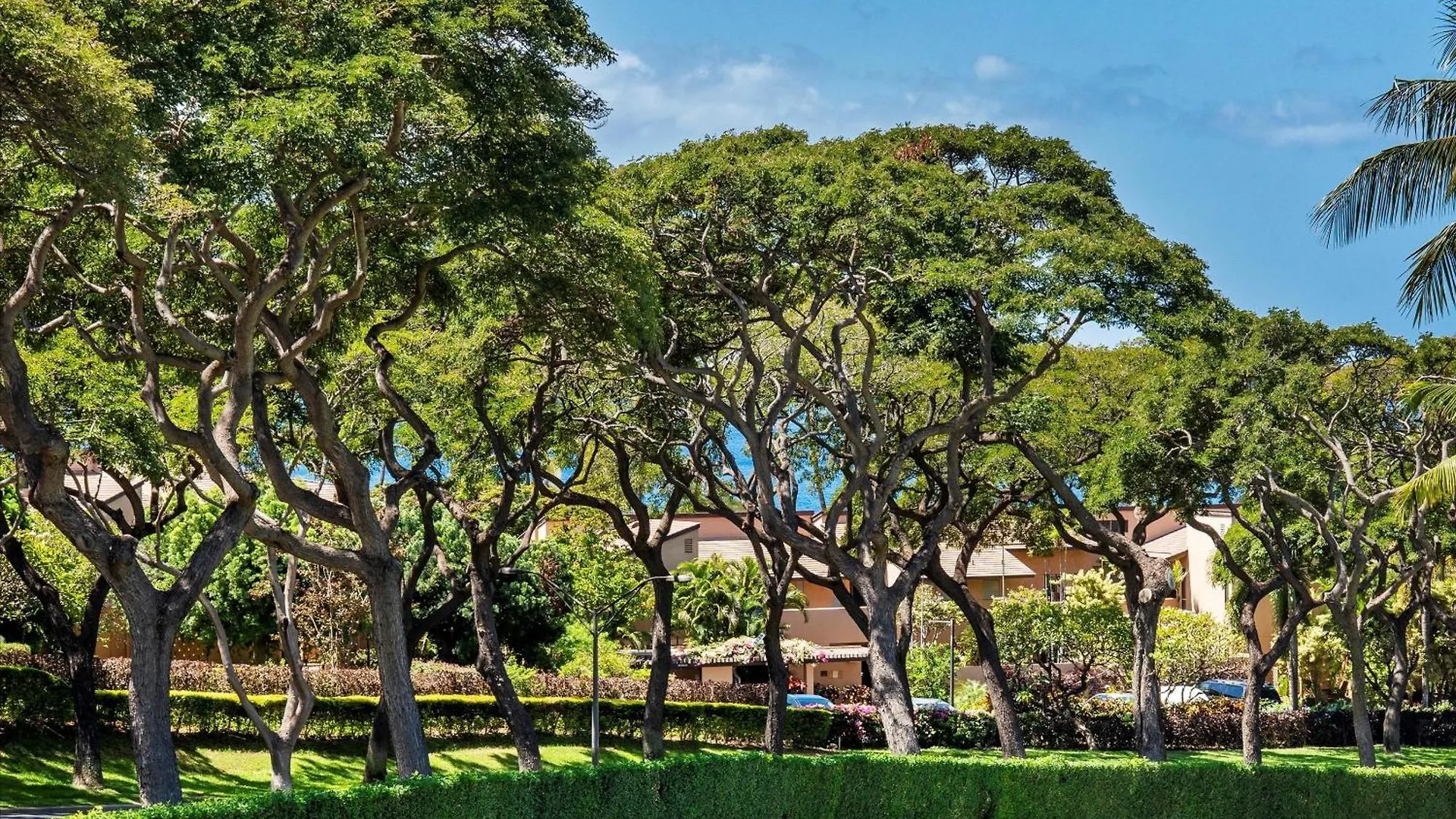Apartmán Palms At Wailea 604 Wailea (Maui)