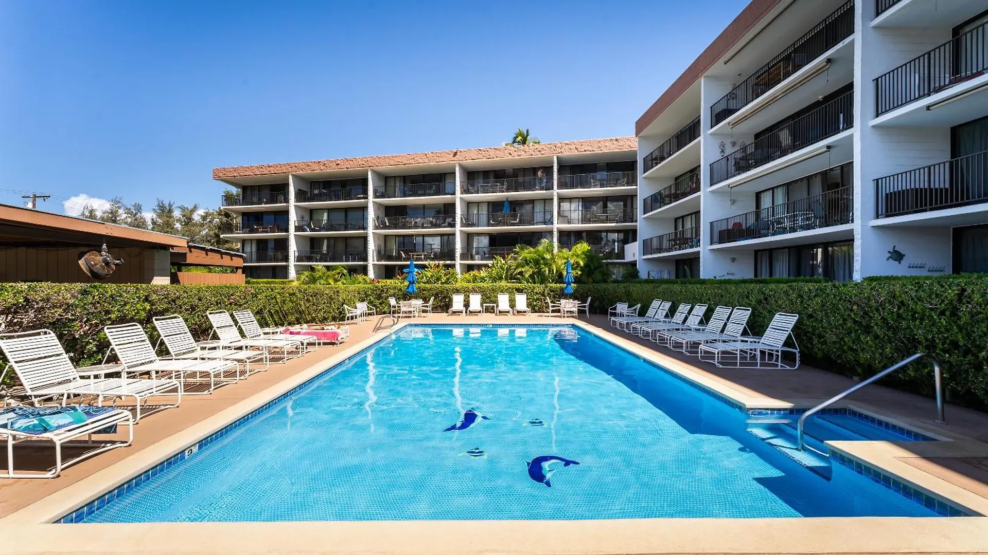 Apartment Beautiful Oceanview, Great Location Across The *