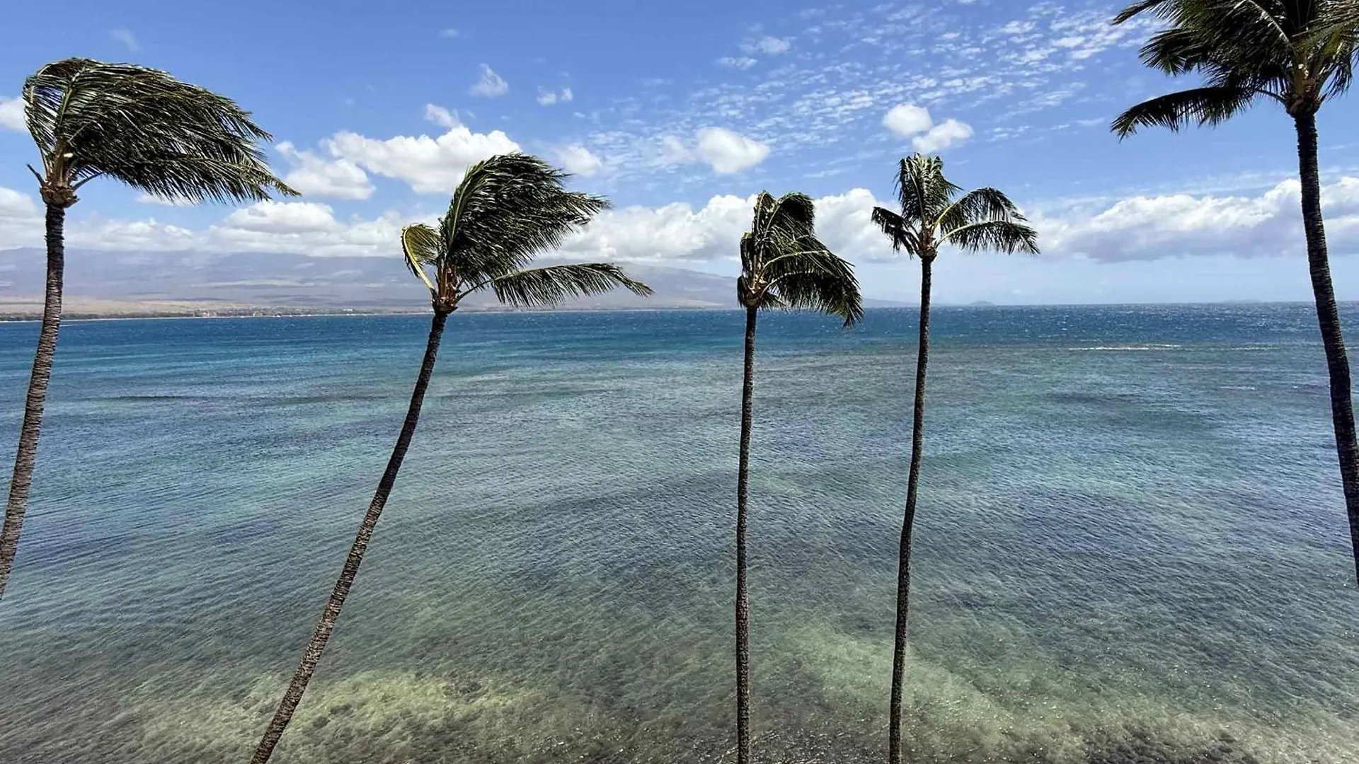 Lauloa 410 - Floor, Direct Ocean Front, Stunning Renovation, Wi-fi, Split Ac *