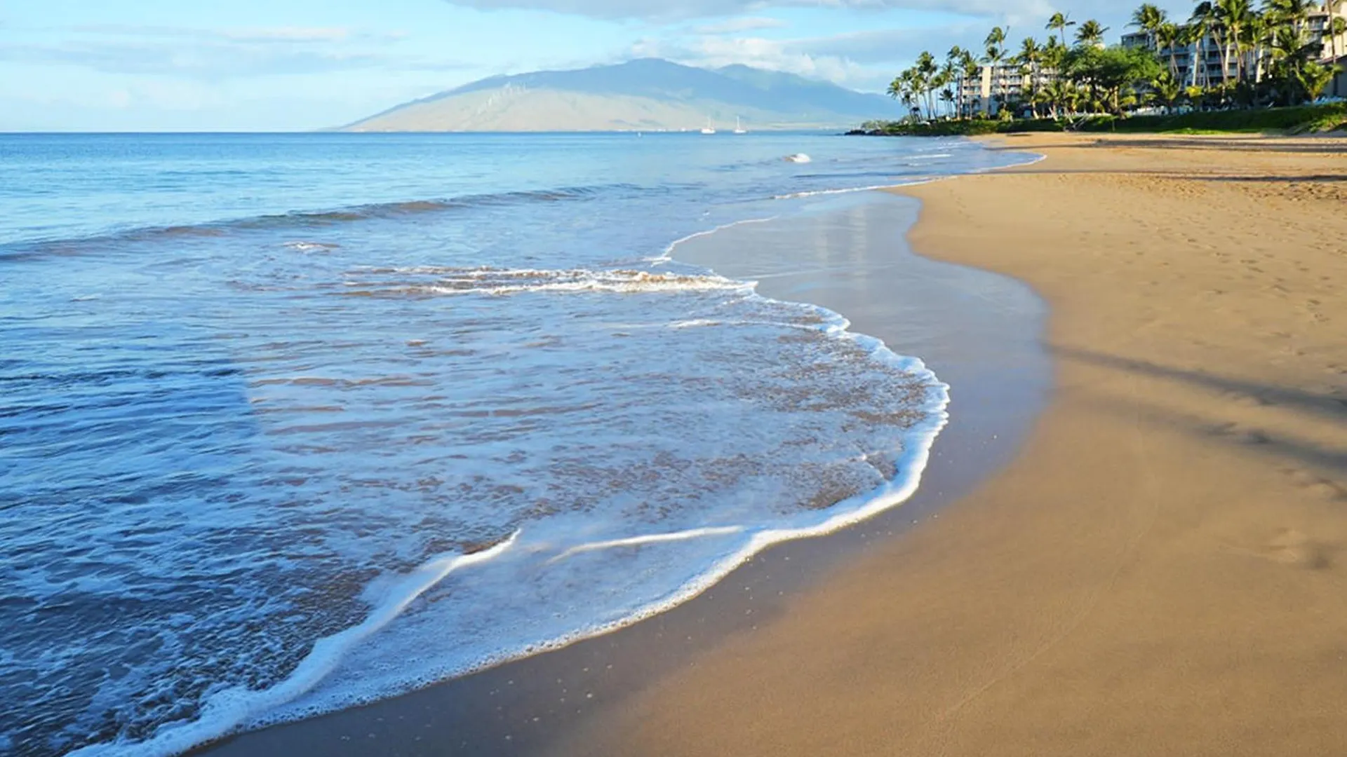 Aparthotel Prime Location! Walk To Beach, Shops & Dining! Wailea (Maui)