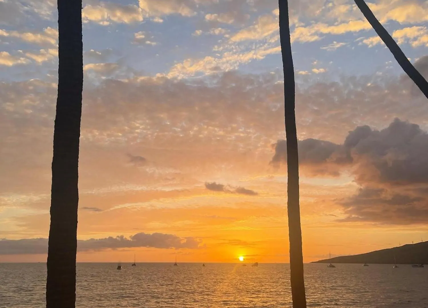 Maalaea Surf A6 * Kihei