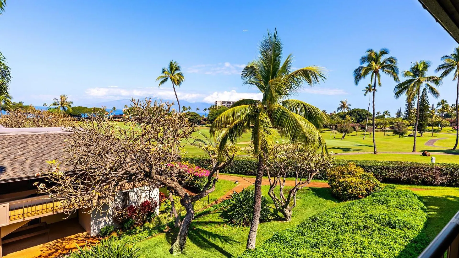 Maui Eldorado K211 *