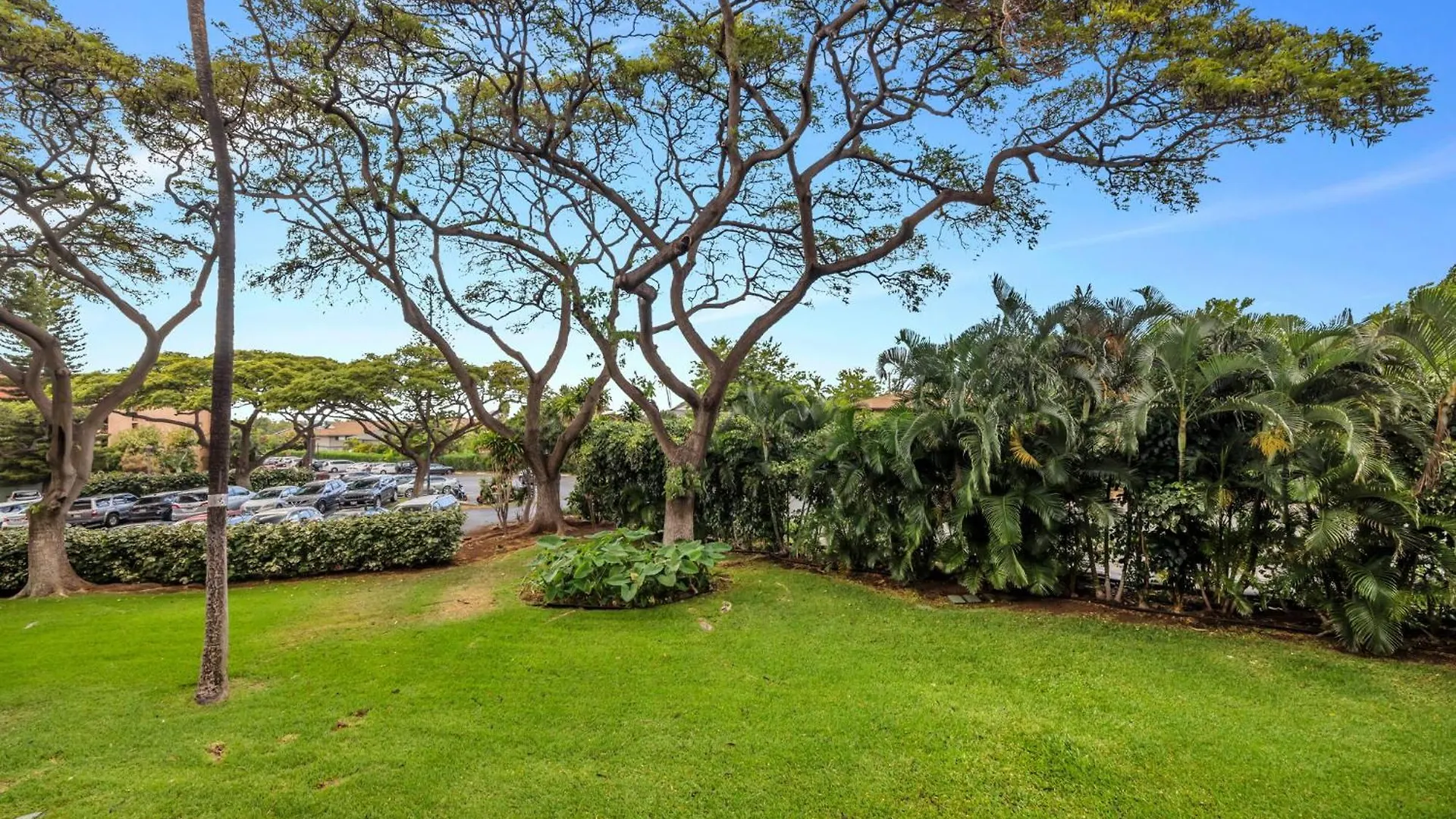 Maui Vista 2220 * Kihei