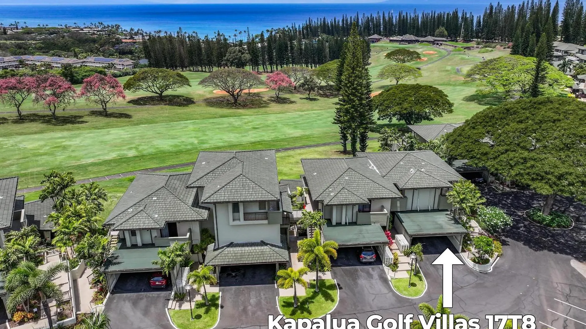 Kapalua Golf 17t8