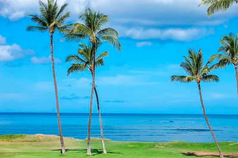 Hotel Leinaala Maui And 2*