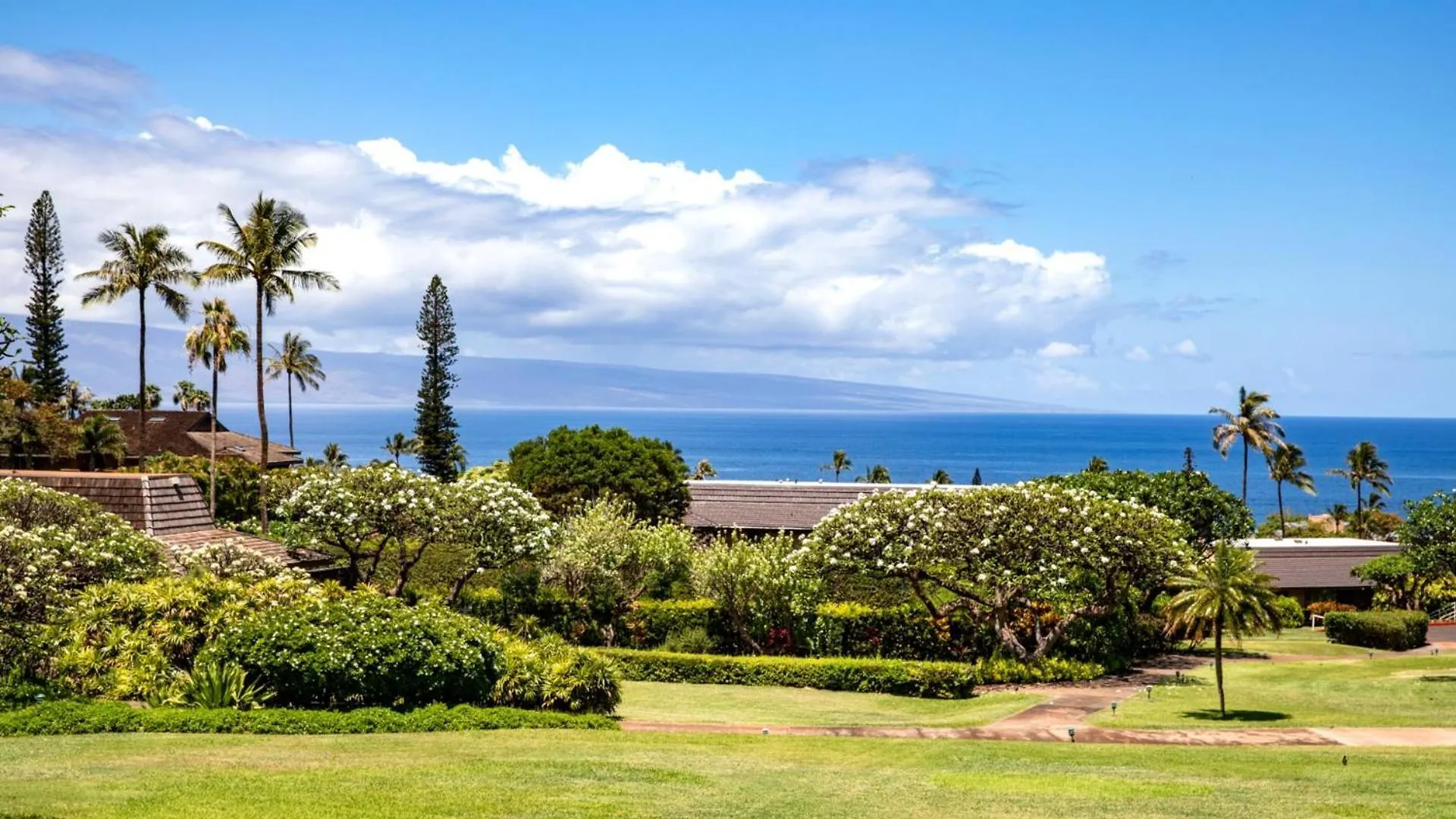 Kbm Free Car Pla-ntation Kpl-46 Remodeled Ocean Views * Kaanapali