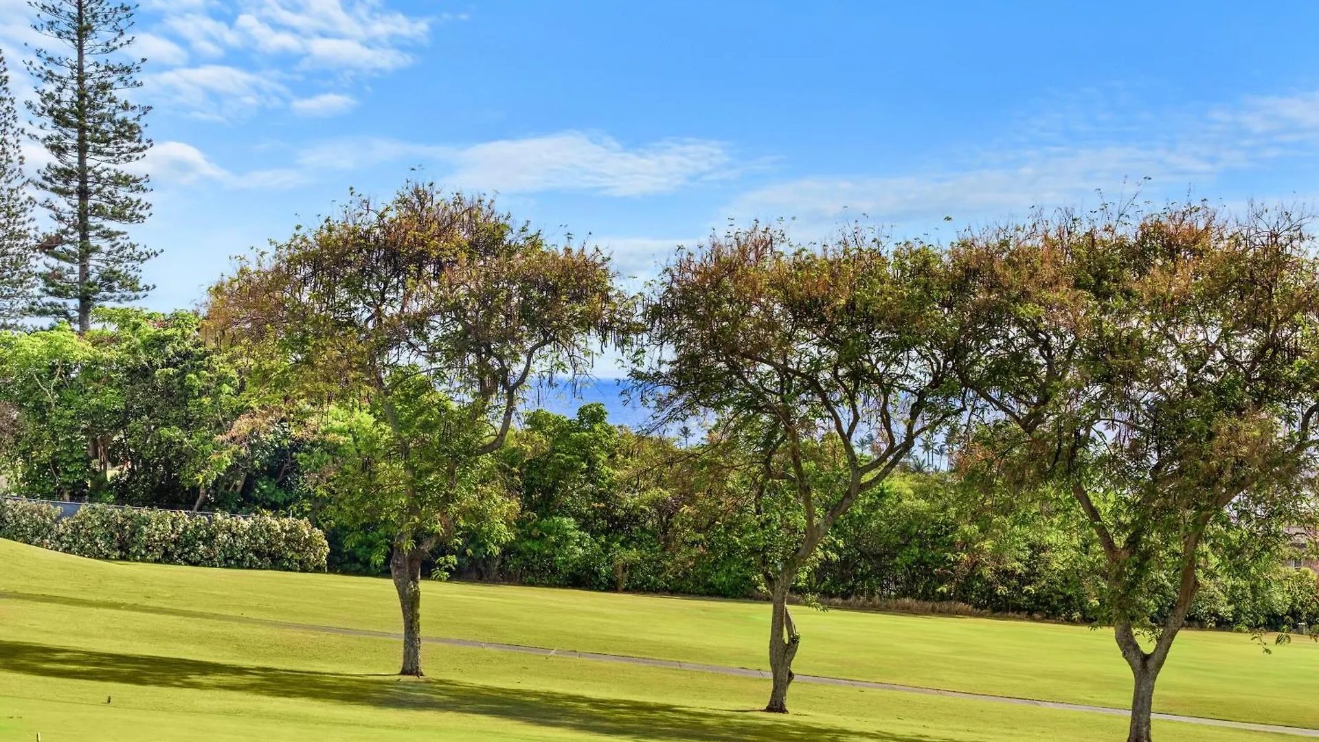 Holiday home Kapalua Golf 18p 5&6 Your Maui Getaway