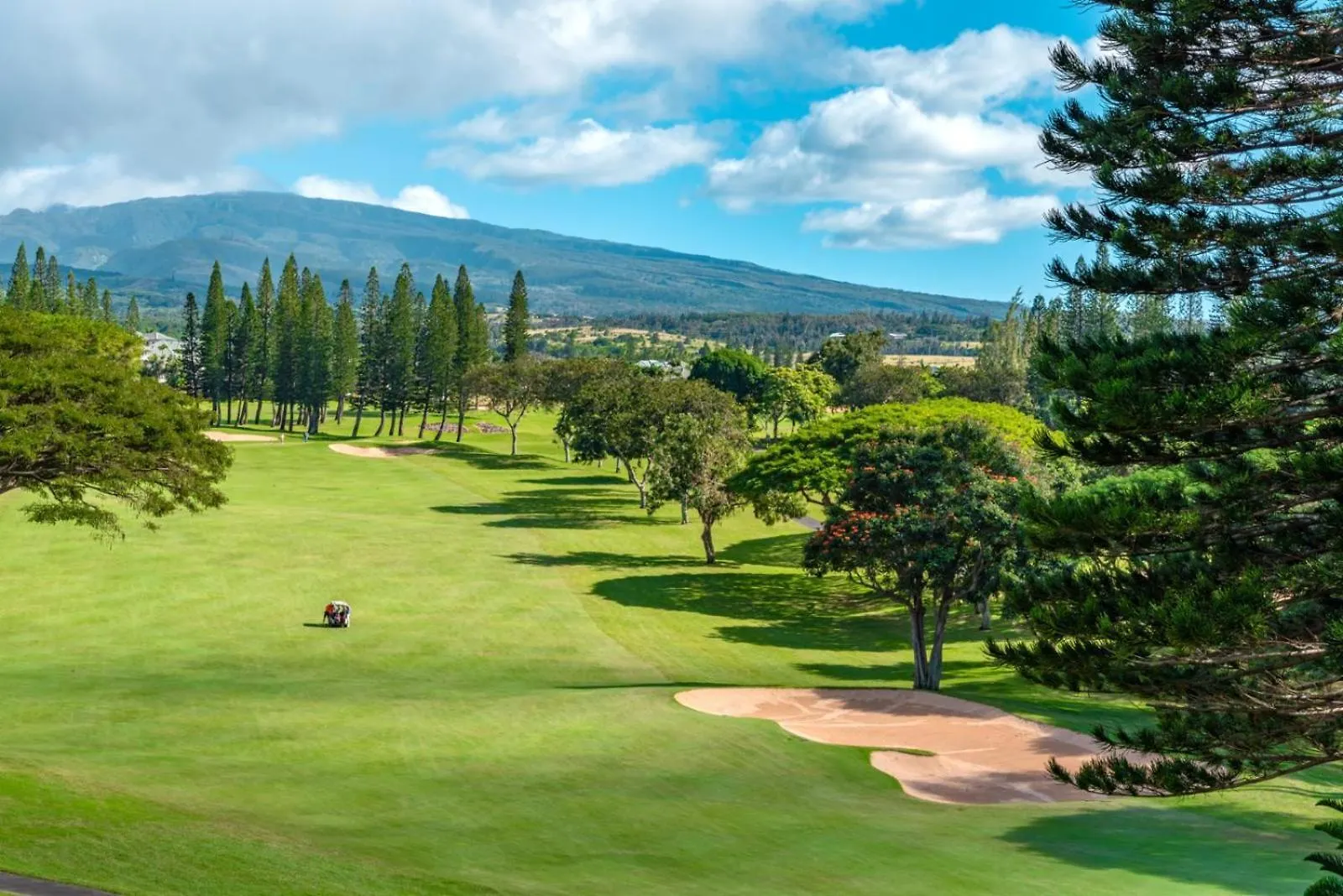 Spacious 4-bedroom Golf Collection - Multi Unit Listing - Same Enclave - Golf Course Views - 3 Free Cars Kgv-17p717t517v3 Apartment *
