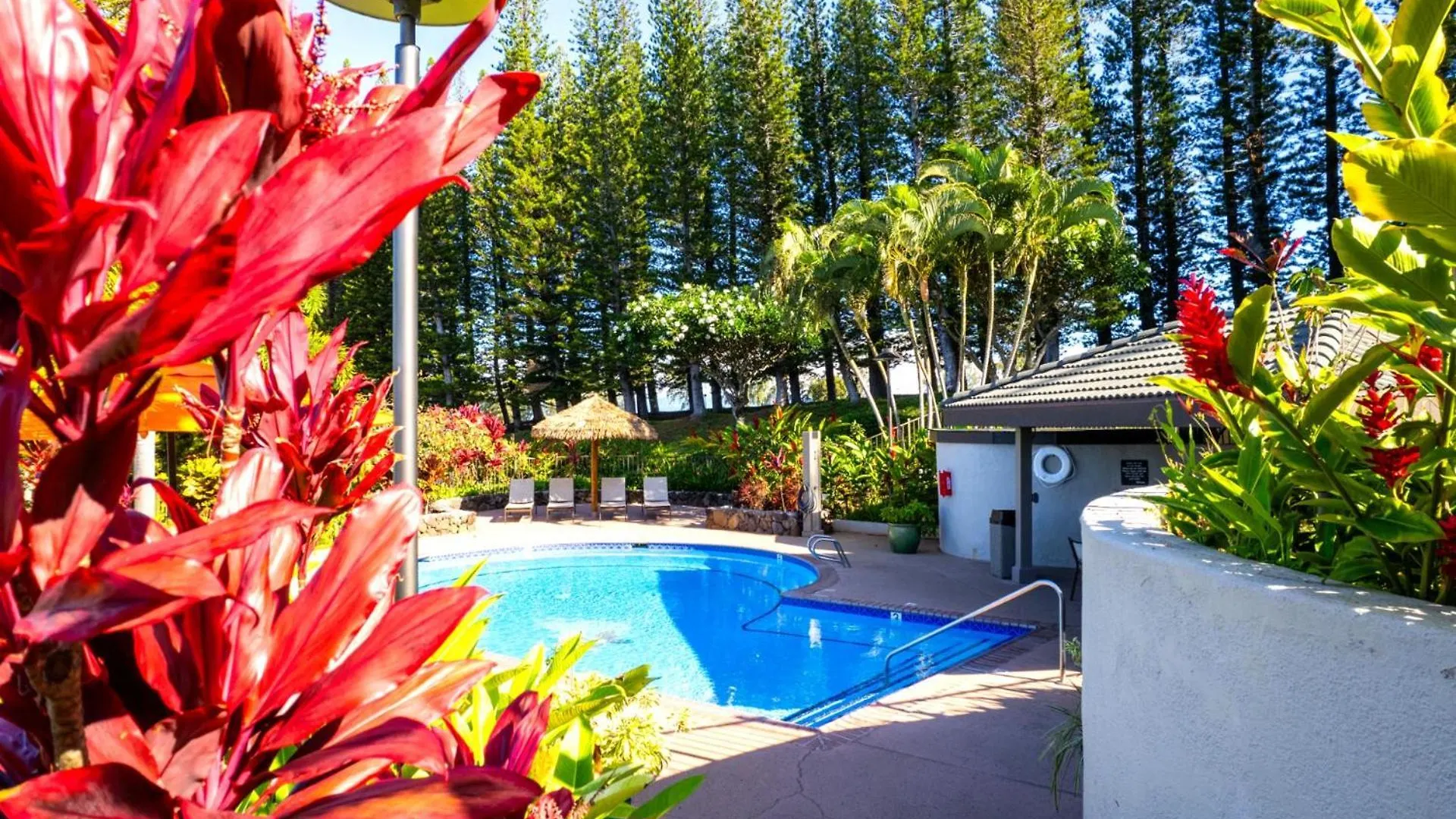 Spacious 4-bedroom Golf Collection - Multi Unit Listing - Same Enclave - Golf Course Views - 3 Free Cars Kgv-17p717t517v3 Apartment *