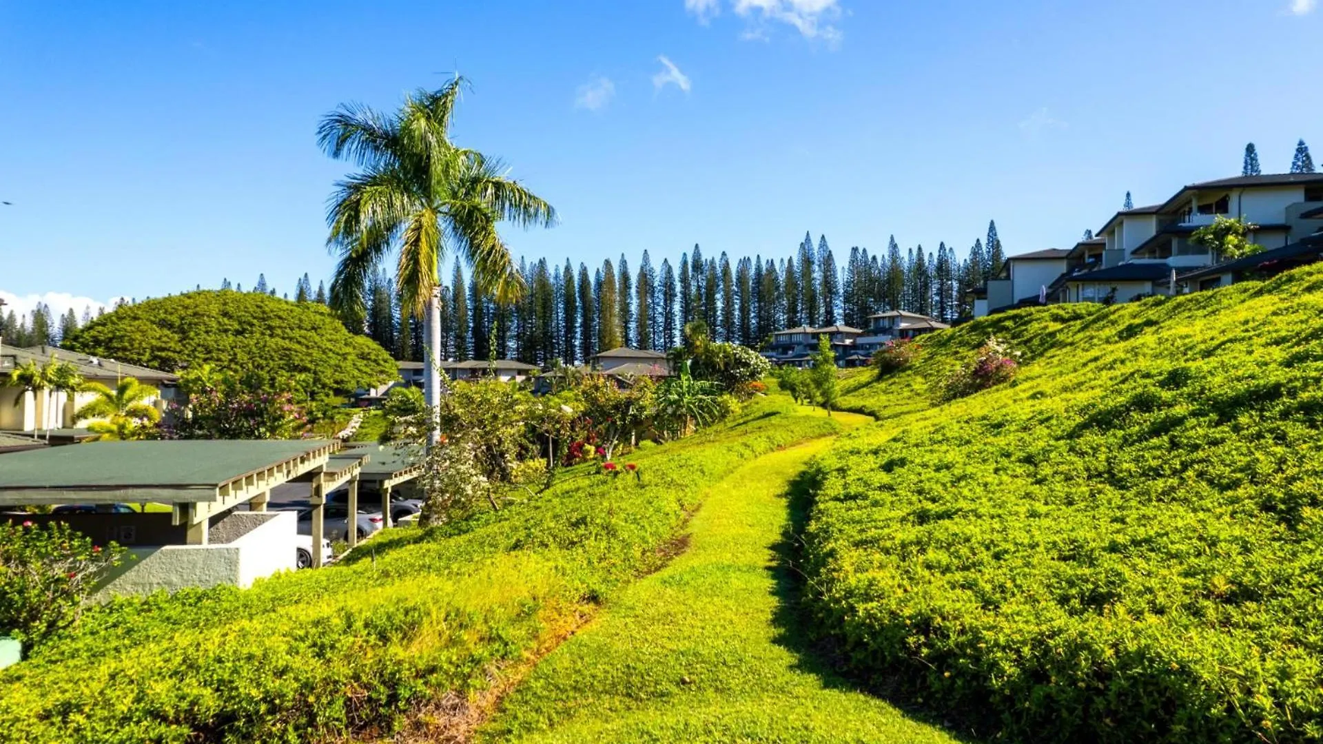 Apartment Spacious 5-bedroom Golf Collection - Multi Unit Listing - Same Enclave - Golf Course Views - 3 Free Cars Kgv-24p724p224t1 Kapalua