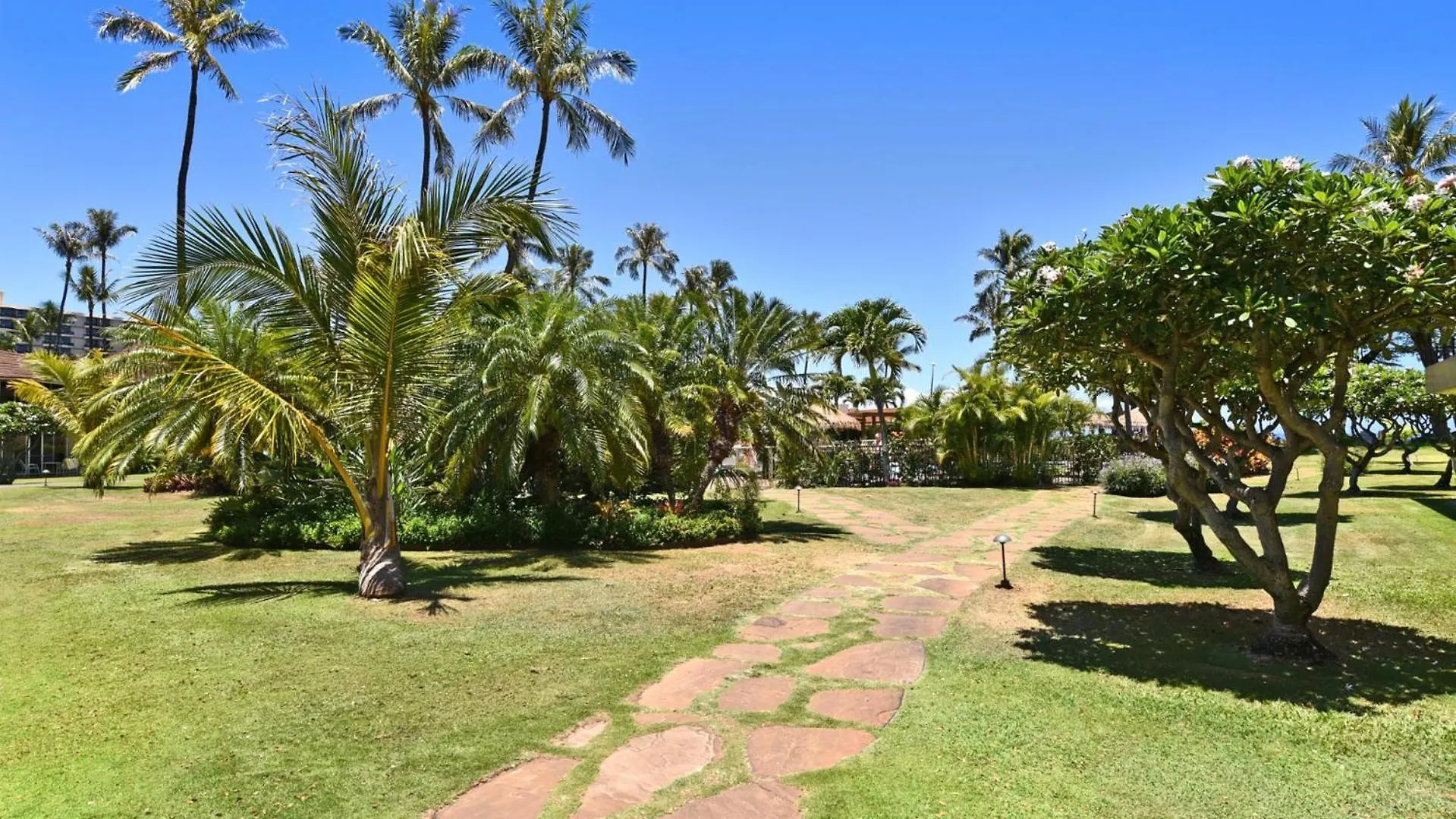 Apartmán Kbm - 4 Free Cars - Maui - Beachfront 4 Upgraded Mkv-c152 Mkv-c255 Mkv-b242 Mkv-b247