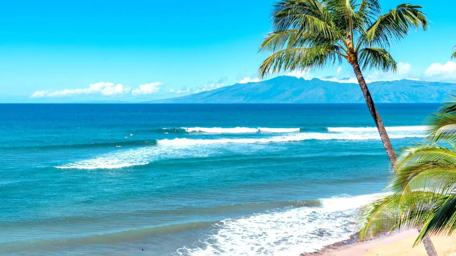 Apartment Kbm Free Car The Whaler Wh1-615 Free Car Included With Stunning Beachfront Kaanapali