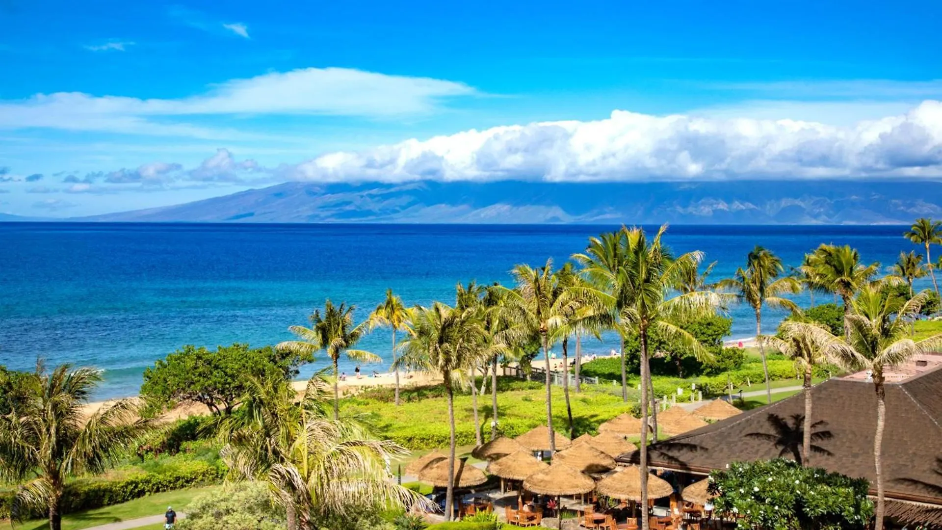 Spacious 6-bedroom Honua Kai Collection - Multi Unit Listing - Same Floor - Ocean Views - 2 Free Cars Hkh-50304 Apartment