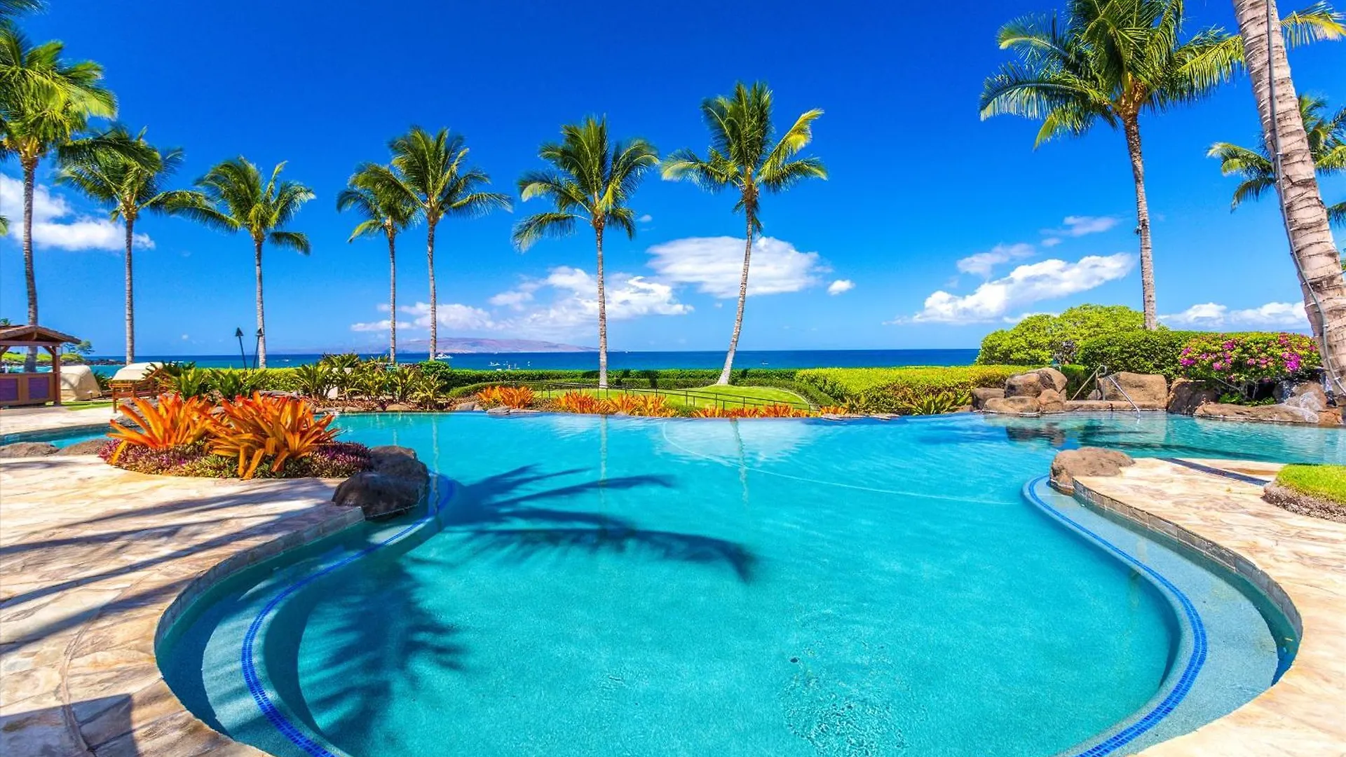 Redecorated! New Offering Summer 2025 - The Palm Coast F202 Ocean View Grand Luxe Sleeps 8! * Wailea (Maui)
