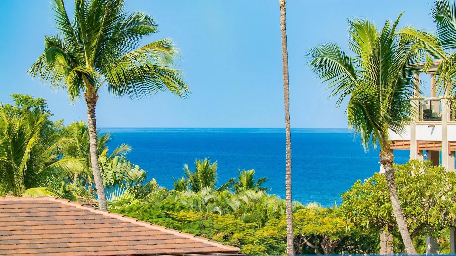 Redecorated! New Offering Summer 2025 - The Palm Coast F202 Ocean View Grand Luxe Sleeps 8! Vila Wailea (Maui)