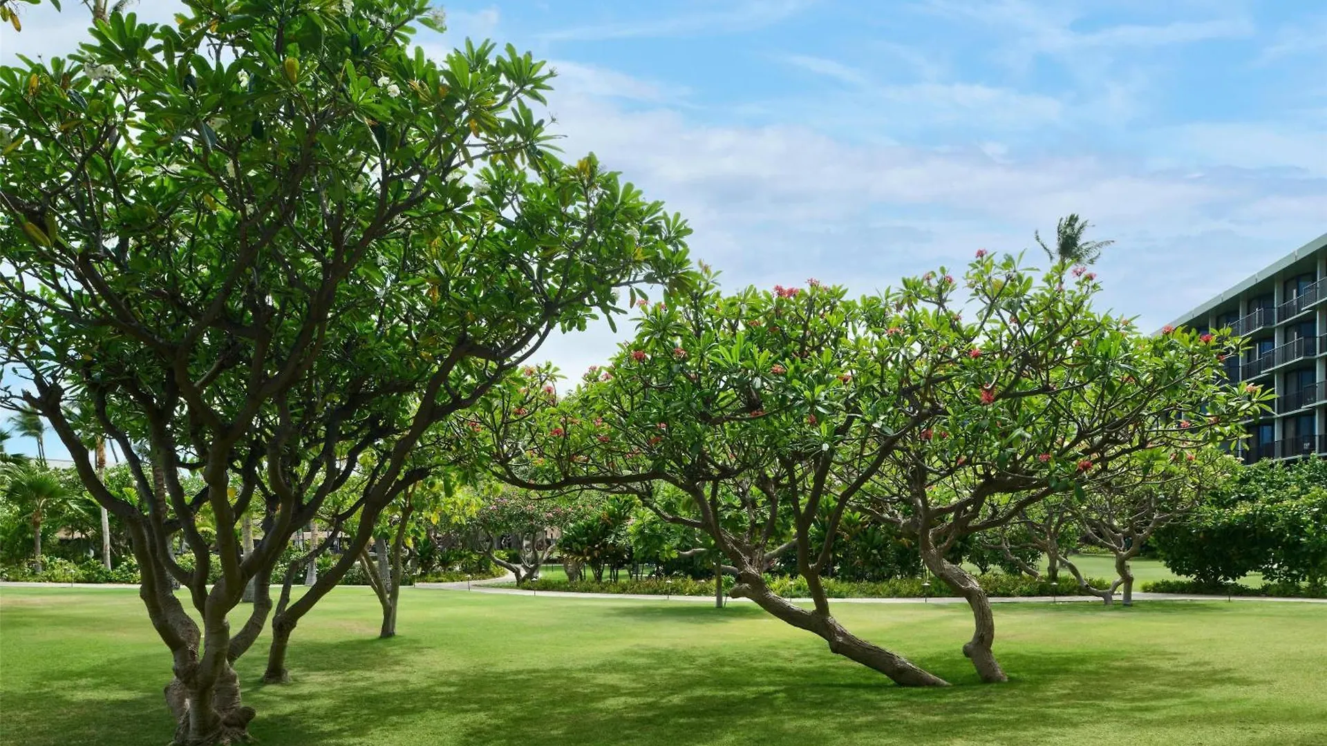 Outrigger Kaʻanapali Ośrodek wypoczynkowy 3*