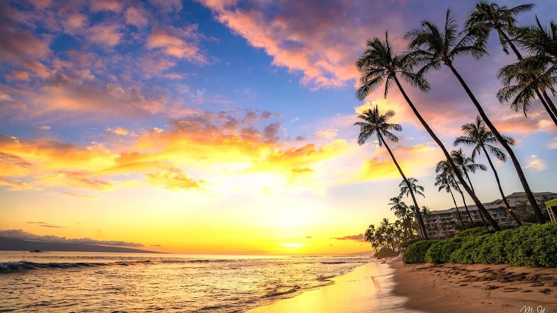 Apartmán Kbm - 4 Free Cars - Maui - Beachfront 4 Upgraded Mkv-c152 Mkv-c255 Mkv-b242 Mkv-b247
