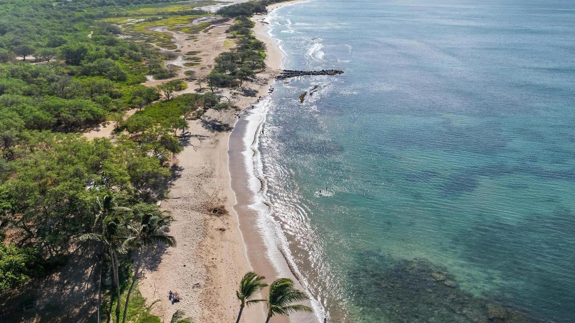 Lauloa 403 * Wailuku