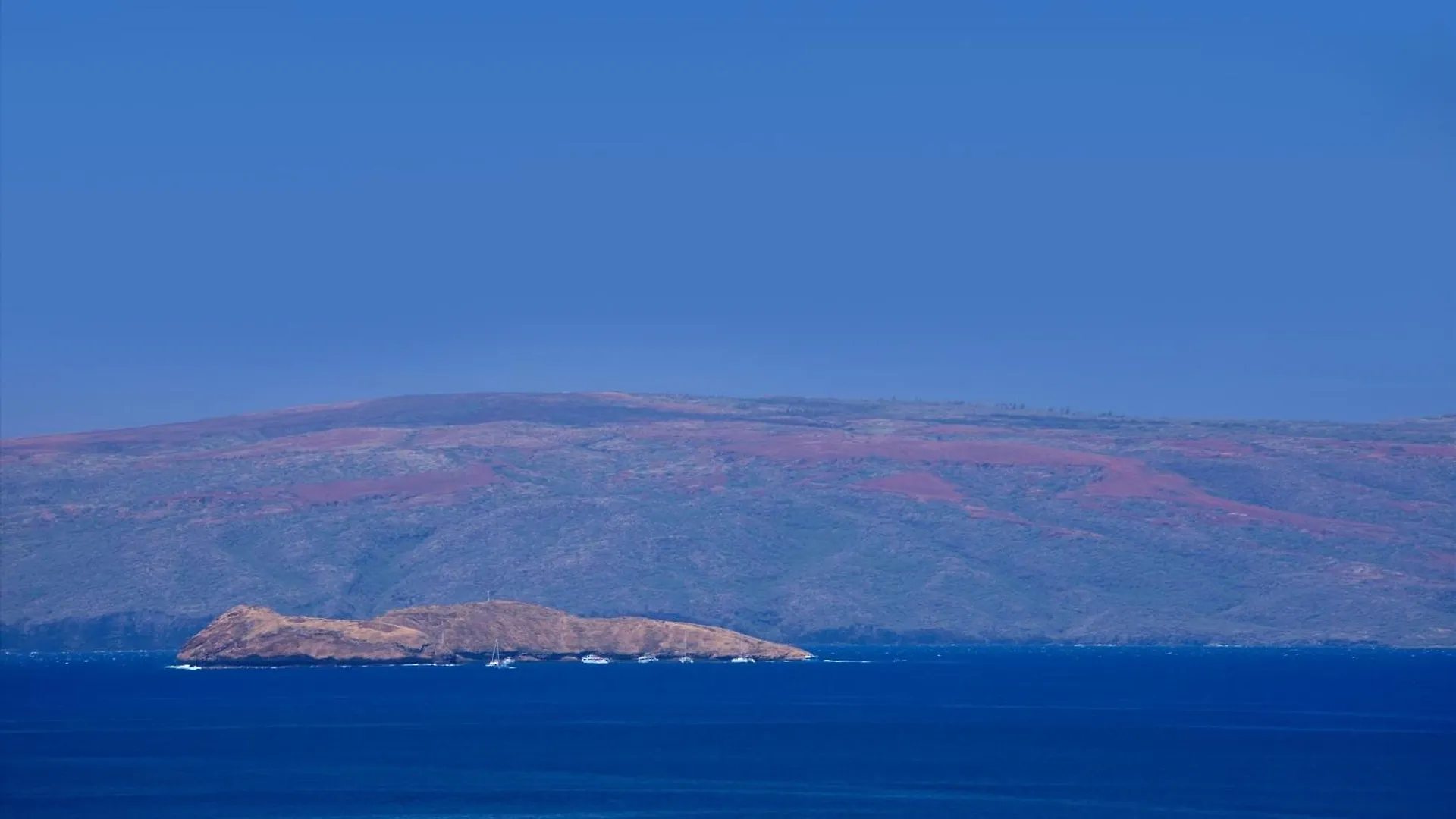 Vila Waileas Super Chic - Super Luxe W- Ocean Views! Experience Seashore K507! *