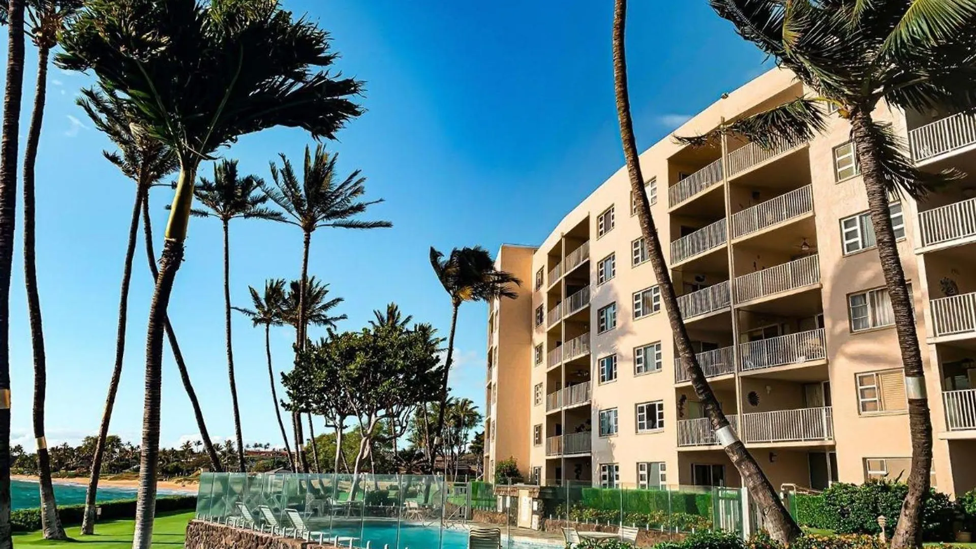 Watch Whales And Sunsets From Your Bed - Double Master Sunset Kihei