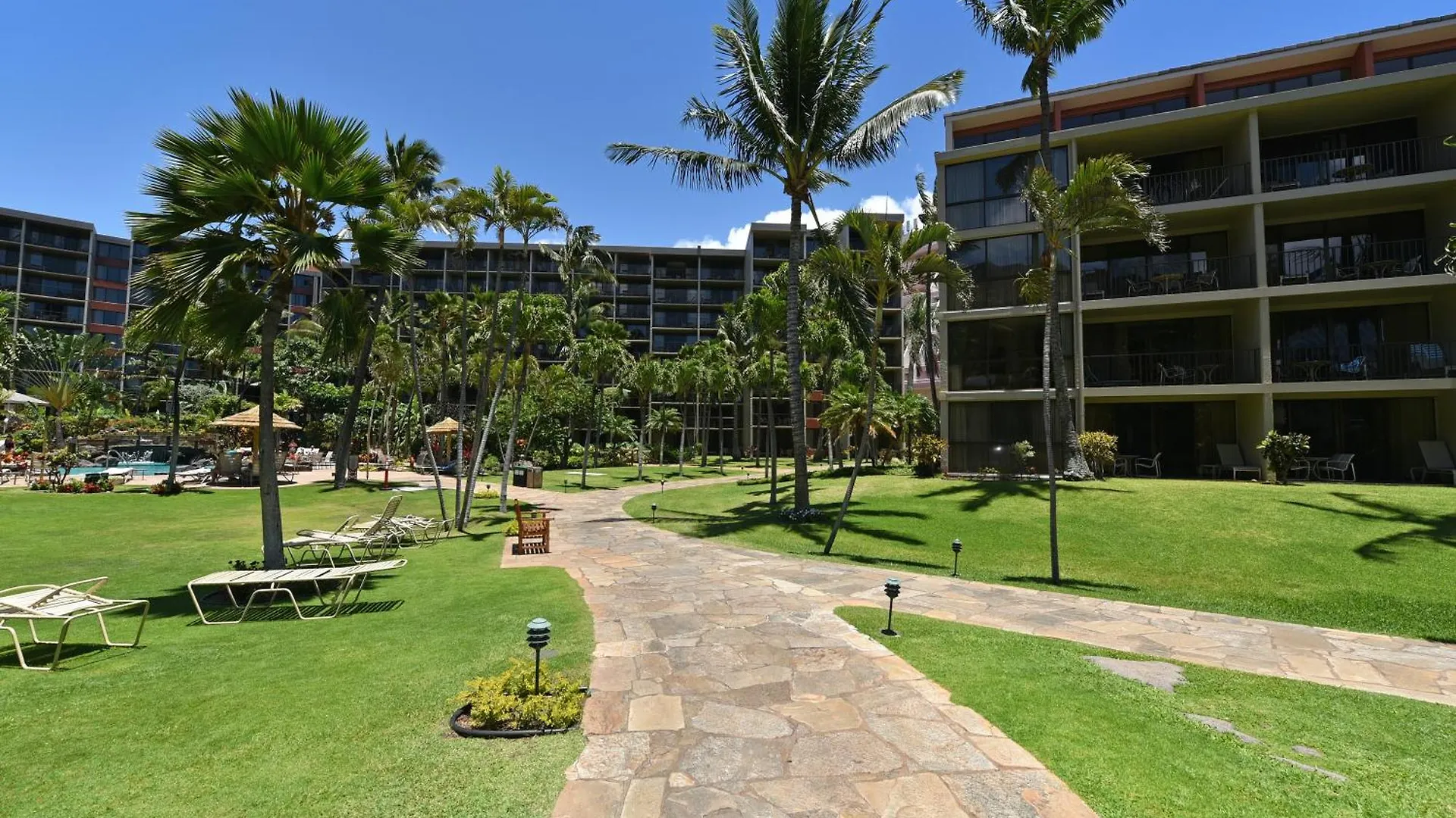 Kaanapali Shores 160 דירה *