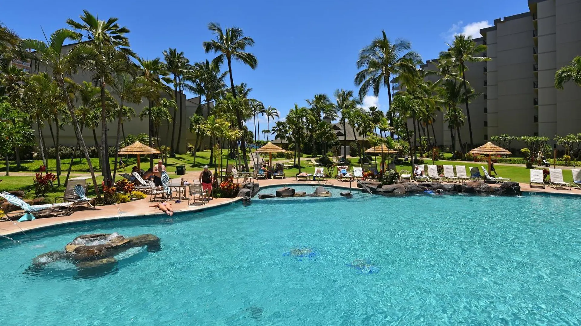 דירה Kaanapali Shores 160