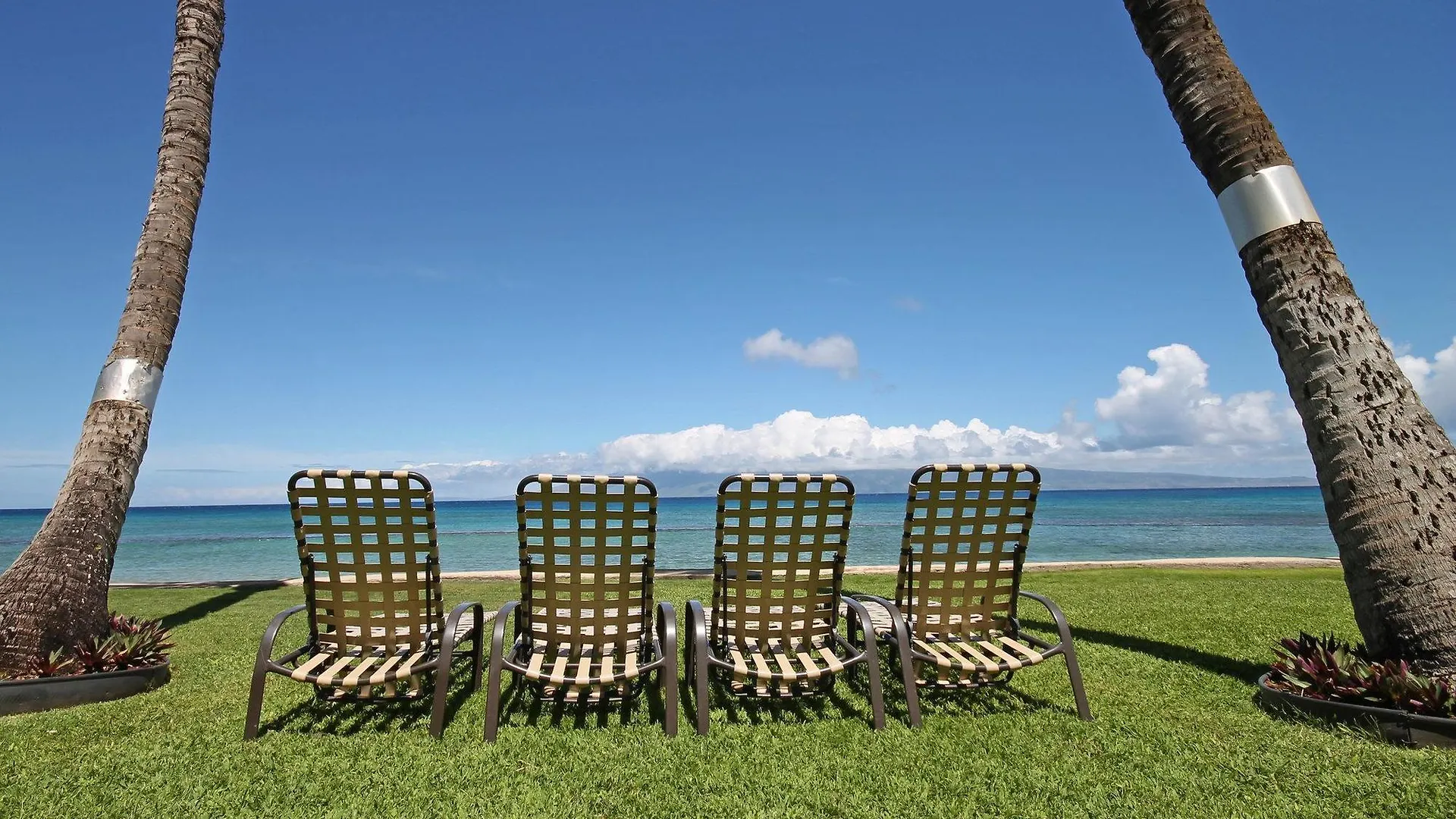 Castle Paki Maui 3* Lahaina