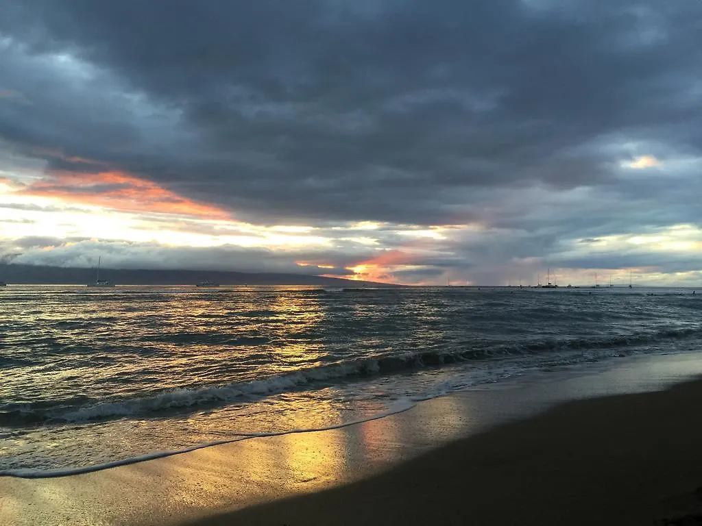 Tiki Beach Hostel-At The Beach In Lahaina Hostel Lahaina
