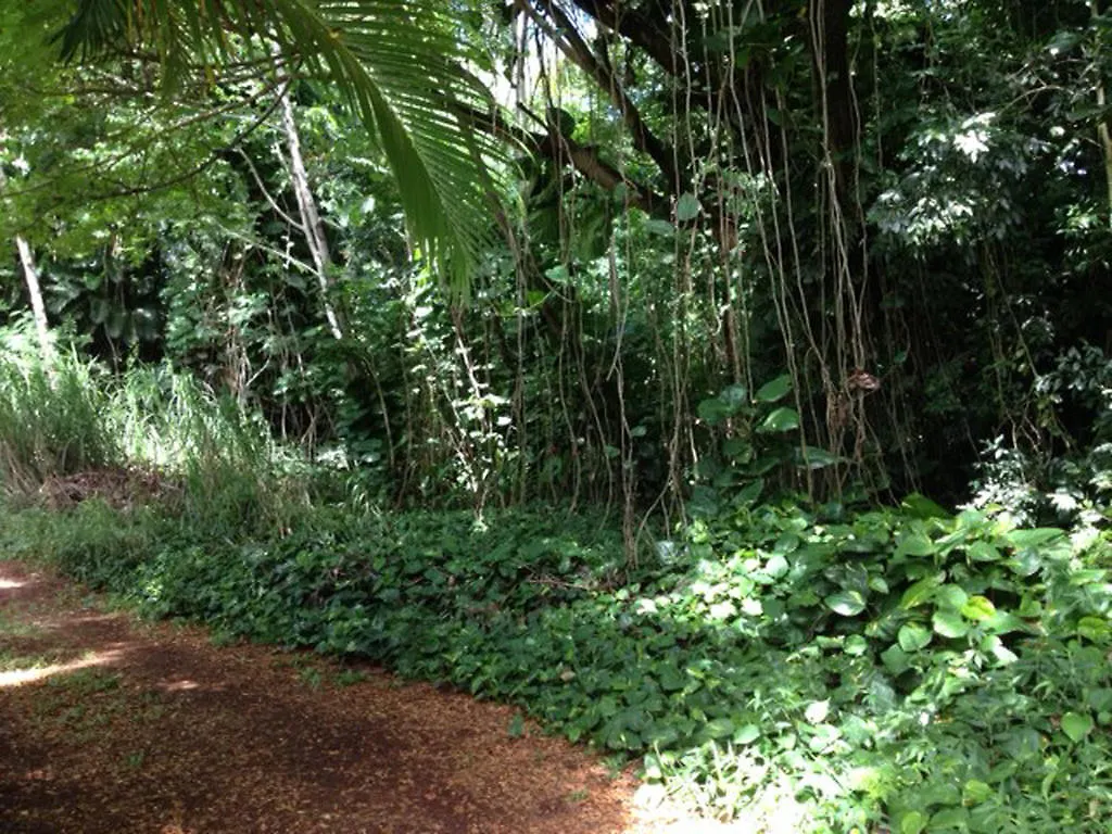 Affittacamere Heavenly Paradise Hana