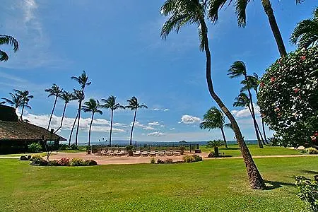 Ma'alaea Surf