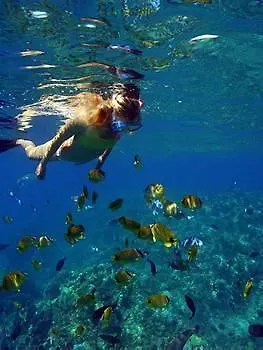 Days By Wyndham Maui Oceanfront 2*