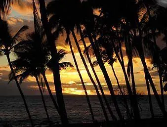 Days By Wyndham Maui Oceanfront Hotell Wailea (Maui)