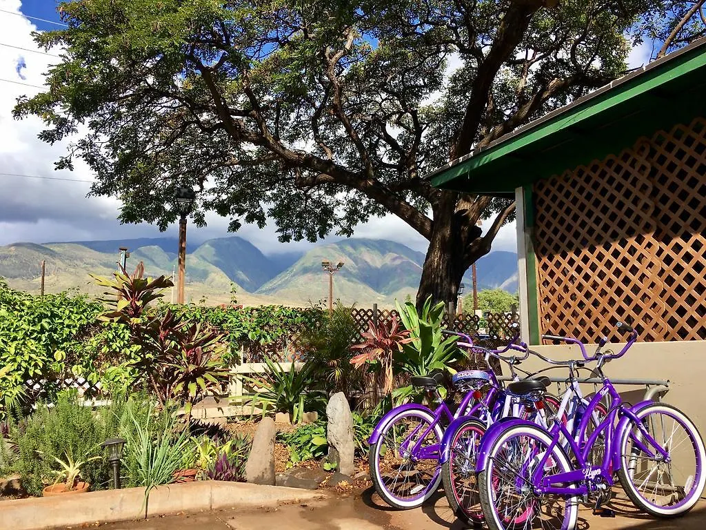 Hostel Hakuna Matata Lahaina