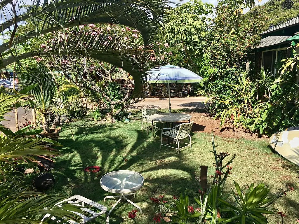 Hakuna Matata Hostel *