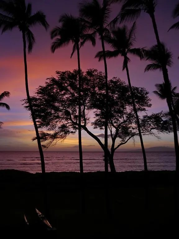 Beautiful 2br 2ba With Panoramic Ocean Views, Wifi, Free Parking! Apartment *