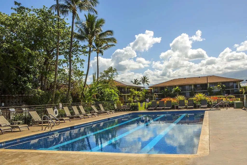 Apartment Beautiful 2br 2ba With Panoramic Ocean Views, Wifi, Free Parking! *