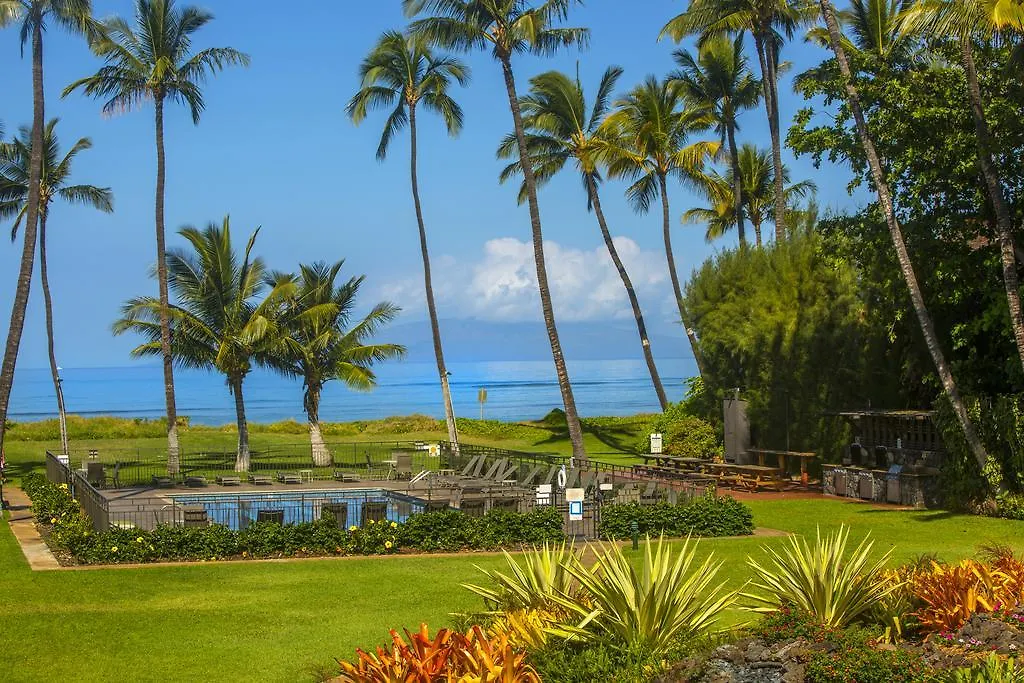 Apartment Beautiful 2br 2ba With Panoramic Ocean Views, Wifi, Free Parking! *