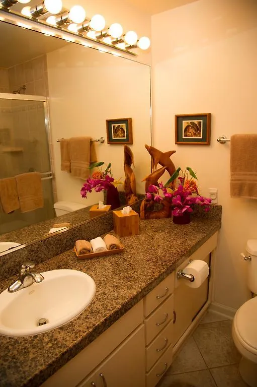 Wailea Sunset - Ekolu #607 Holiday home Wailea (Maui)