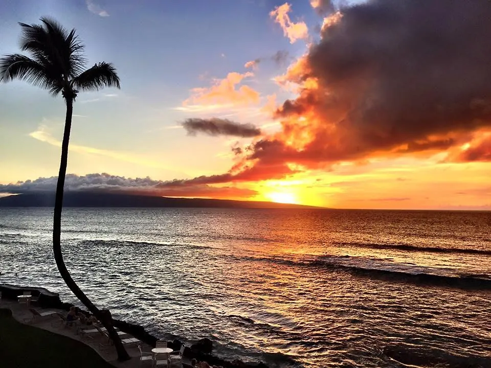 Kaleialoha #114 Lahaina