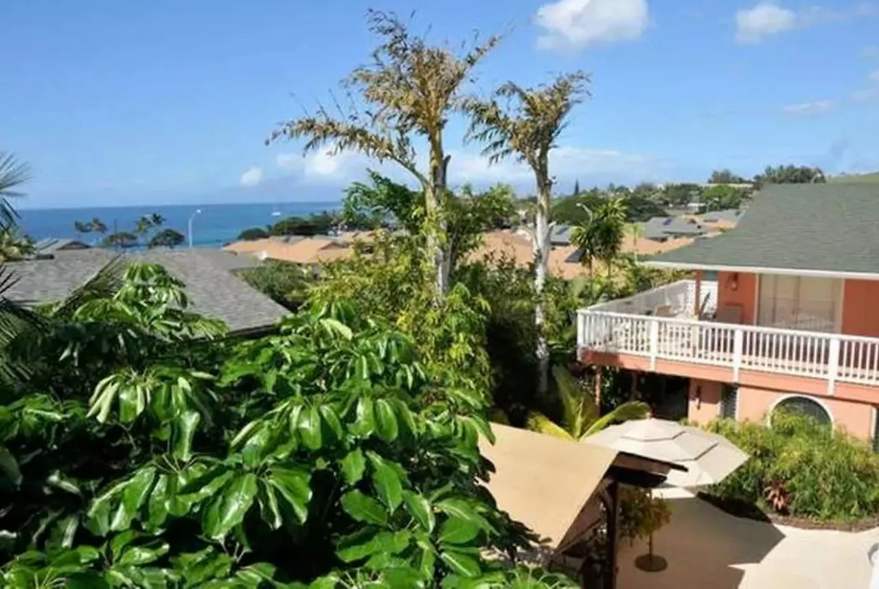 Maui Garden Oasis Holiday home