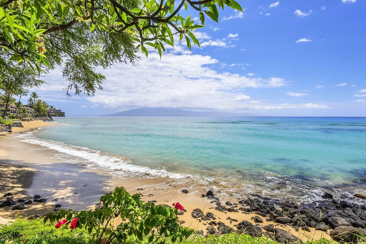 Kuleana 208 *
